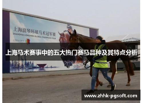 上海马术赛事中的五大热门赛马品种及其特点分析