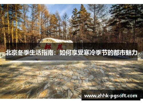 北京冬季生活指南：如何享受寒冷季节的都市魅力