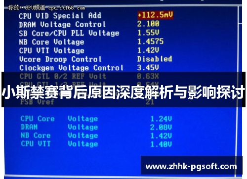 小斯禁赛背后原因深度解析与影响探讨