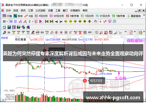 英超为何突然停摆专家深度解析背后成因与未来走势全面观察动向评